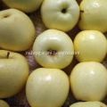 /msite/products/detail/productid/56391629/id/542688.html